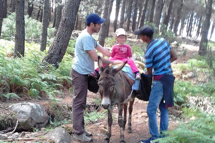 Full day trip to Bouhachem Park by Mules, and Chefchaouen  - Image 2