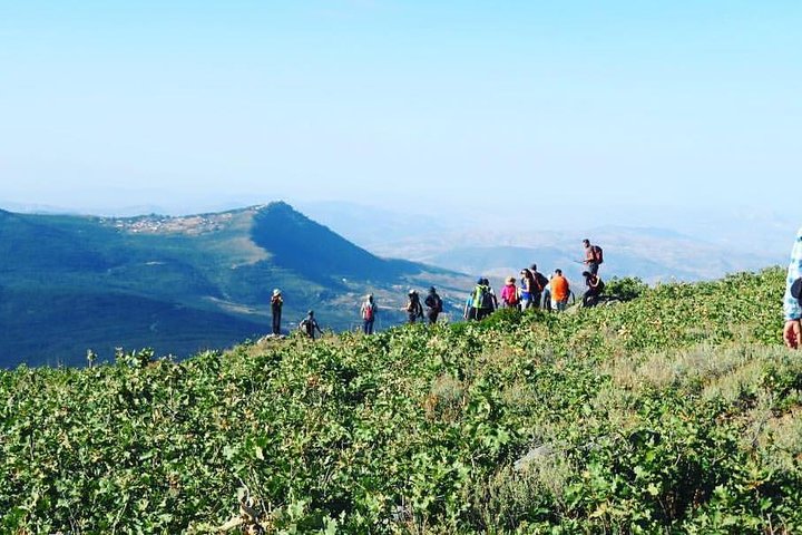 Full day trip to Bouhachem Park by Mules, and Chefchaouen  - Image 5