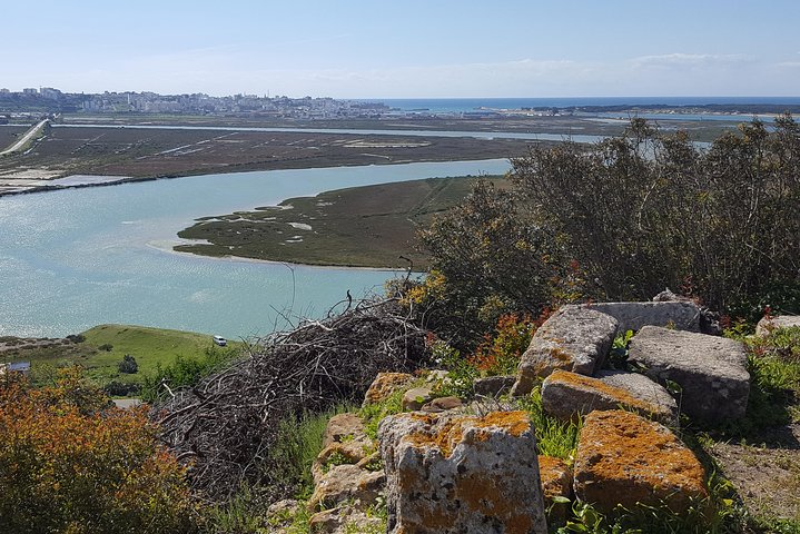 History and prehistory in northern Morocco: 1 day excursion Mzora and Lixus - Image 2