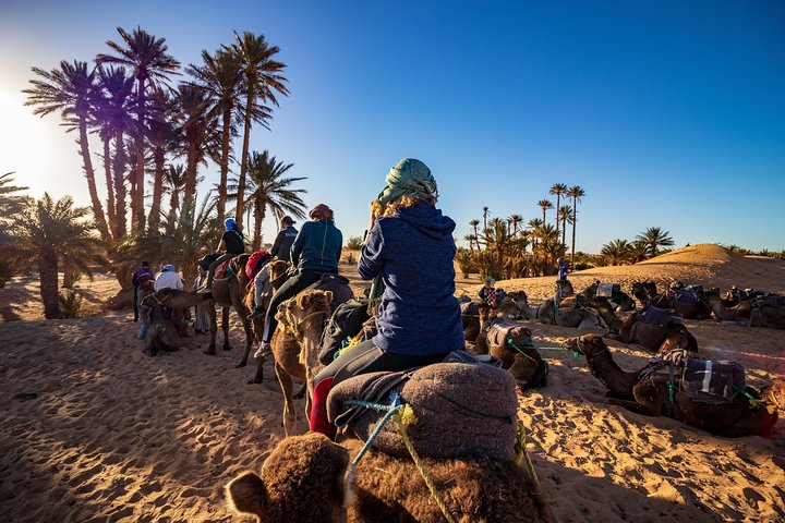 Luxury 7 Days From Tanger to Merrakech - Image 1