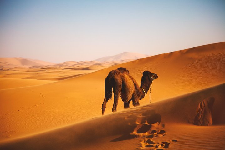 Luxury 7 Days From Tanger to Merrakech - Image 2