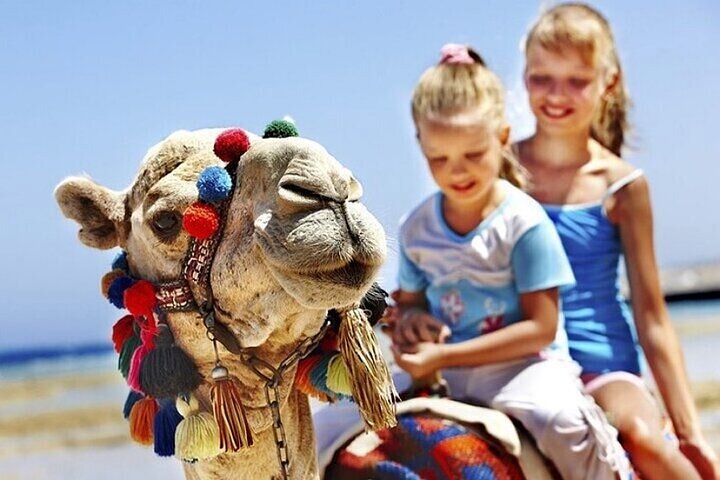 Private Tangier Tour with Lunch and Camel Ride - Image 1