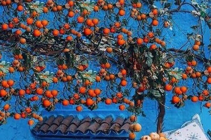 Private Tour of Chefchaouen from Tangier - Image 4