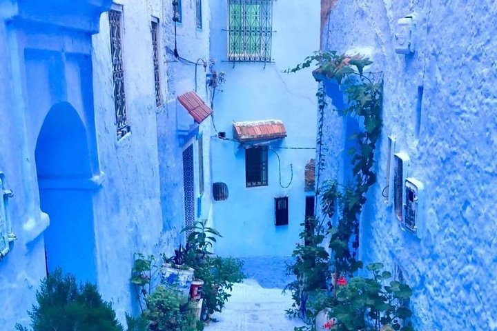Private Trip to Chefchaouen - Image 4