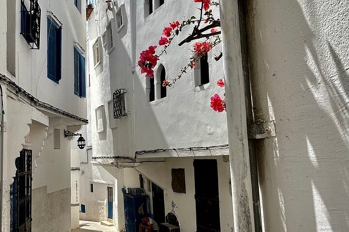 Private Walking Tour of Tangier - Image 4