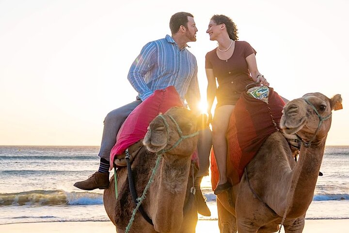 Sunset Camel Ride by The Sun Beach & Dinner - Image 1