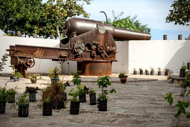 Tangier Medina & Kasbah Guided Walking Tour (4 Hours) | Tangier Walking Tour - Image 5