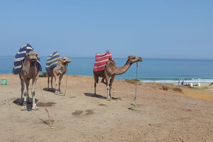 Tangier Private Day Tour - Hercules Grottoes - Image 2