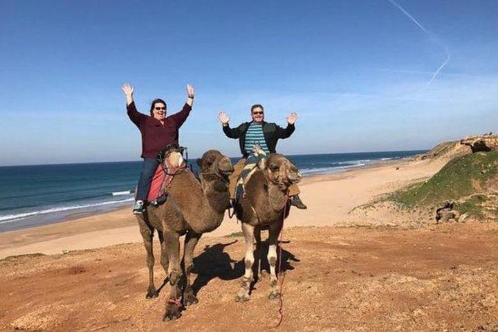 Tangier Private Day Trip from Casablanca by High Speed Train - Image 3