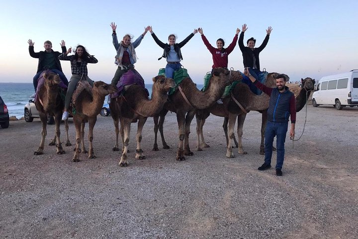 Tangier private tour & Camel ride (sightseeing & Walking Tour) - Image 1