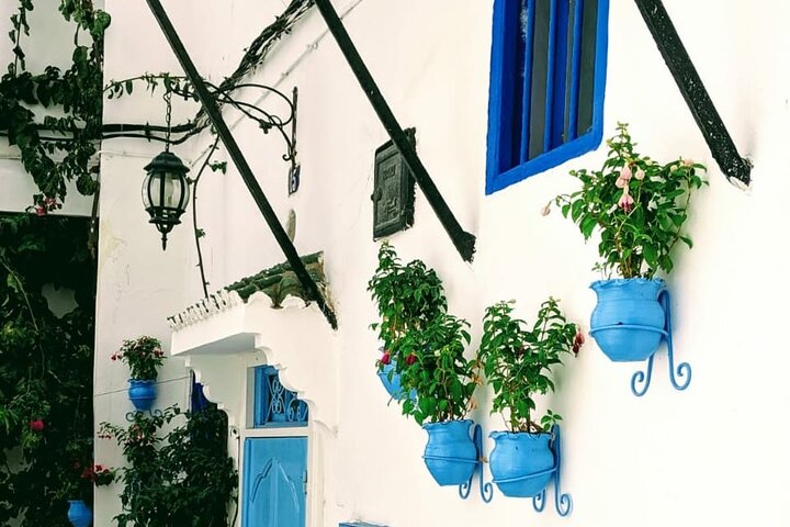Tangier Sightseeing and Walking Tour with optional Camel ride - Image 4