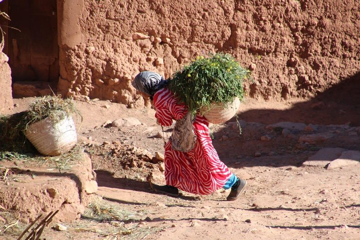 Tangier to Casablanca: Private 12 Days Imperial Cities, Mountains & Desert-Tour - Image 4