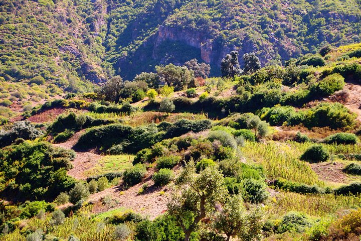 Tangier to Marrakech: Private 8-Days Tour Imperial Cities, Mountains & Desert - Image 2