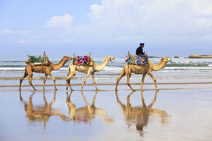 VIP Tangier Private Tour - Image 3