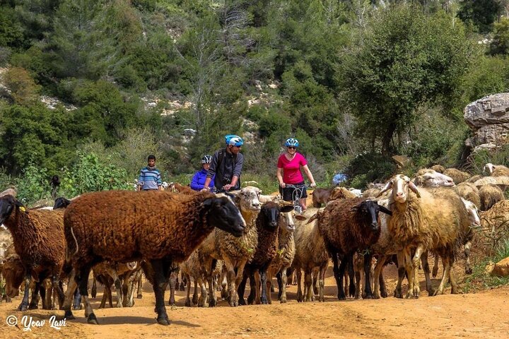 Bike the Holy Land with Yoav Lavi, Bike Guide for all levels and a Photographer - Image 2