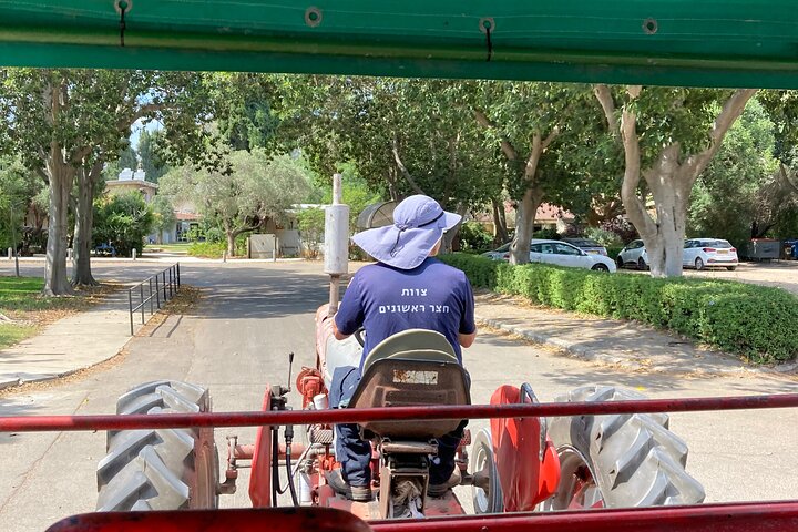 Fully Inclusive The Israeli Kibbutz Experience - Image 5