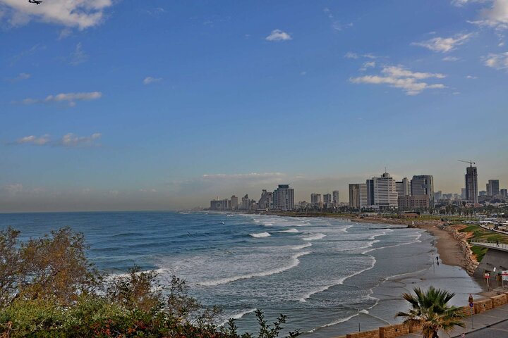 Funky Fusion: Tel Aviv and Jaffa's Urban Safari Private Day Tour  - Image 3