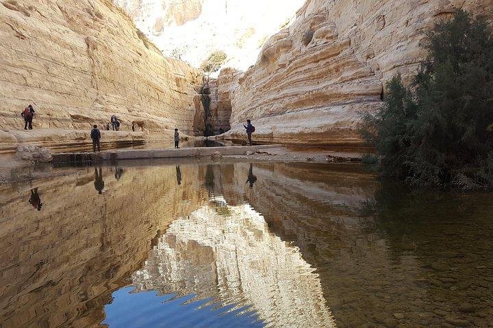 Into the desert tour - Image 2