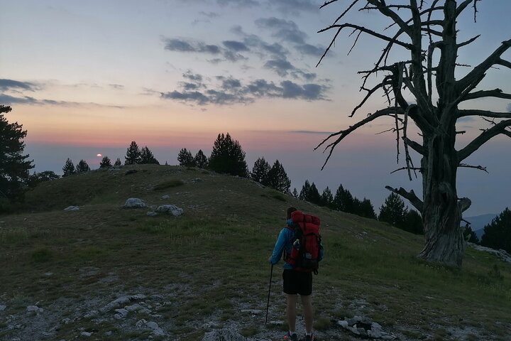 Into the myth of Olympus - Image 1