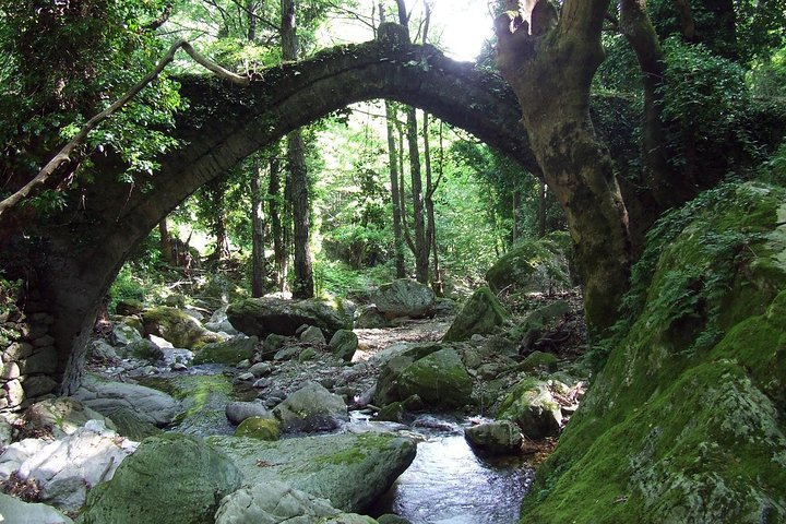 Thessaloniki to Volos and Pelion – Private Day Trip - Image 2