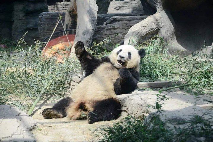 Beijing Private Package Tour with Tianjin Cruise Port Transfer - Image 4