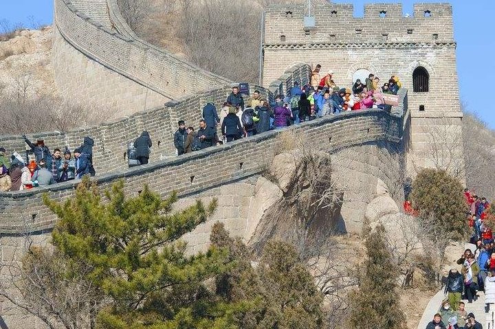 Private Tianjin Shore Excursion to Badaling Great Wall with Beijing Dorp-off Option - Image 2
