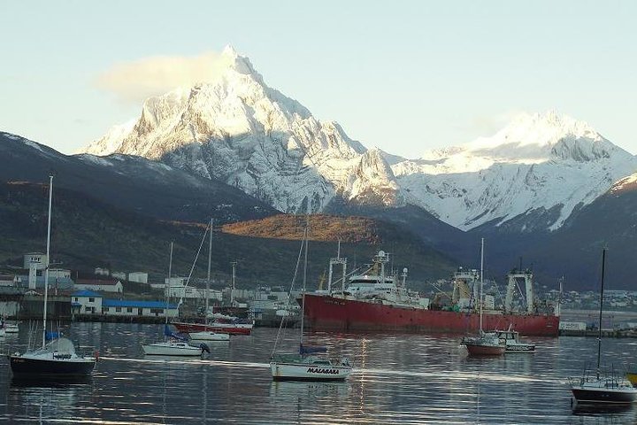 5-Hour Nat Park + City Tour *Shore Excursion* USHUAIA (Shared tour for cruises) - Image 4