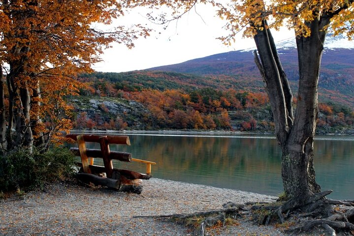 5-Hour Nat Park + City tour - USHUAIA (Private Tour) - Image 1