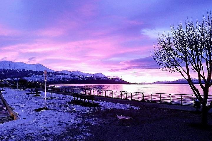5-Hour Nat Park + City tour - USHUAIA (Private Tour) - Image 2