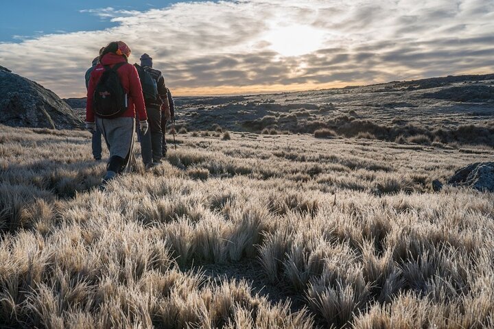 5.5-Hour Nat Park w/ Hiking *Shore Excursion* USHUAIA (Shared tour for cruises) - Image 1