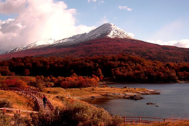 5.5-Hour Nat Park w/ Hiking *Shore Excursion* USHUAIA (Shared tour for cruises) - Image 3