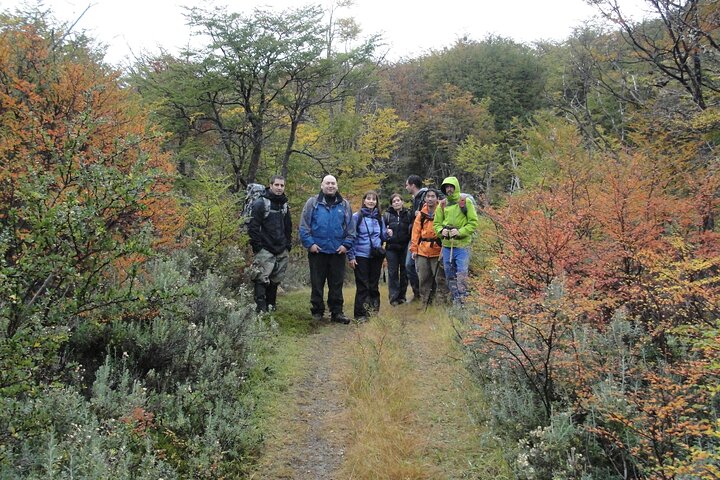 5.5-Hour Nat Park w/ Hiking *Shore Excursion* USHUAIA (Shared tour for cruises) - Image 4