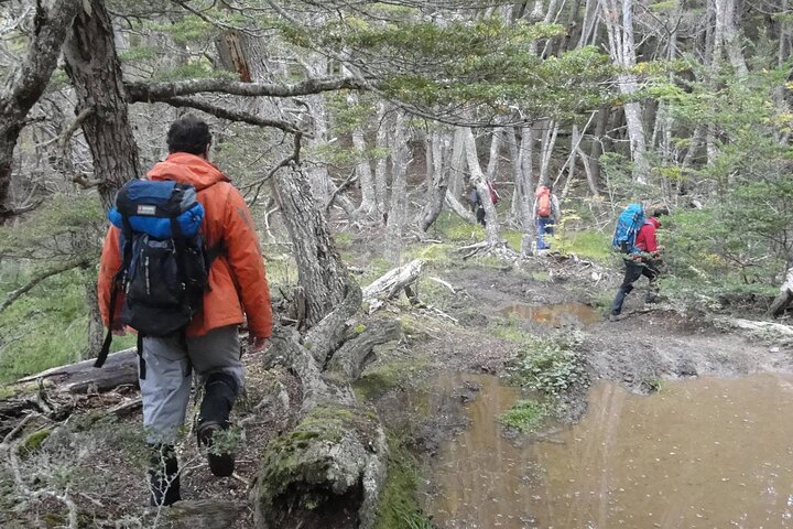 5.5-Hour Nat Park w/ Hiking *Shore Excursion* USHUAIA (Shared tour for cruises) - Image 2
