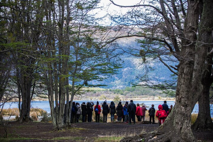 Half Day in Tierra del Fuego National Park for Cruise Travelers - Image 5