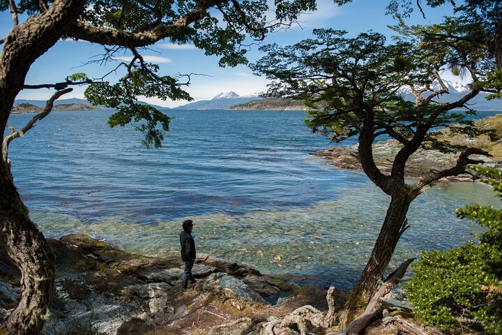 Half Day in Tierra del Fuego National Park for Cruise Travelers - Image 2