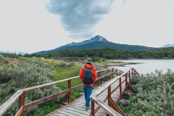 Half Day in Tierra del Fuego National Park for Cruise Travelers - Image 1