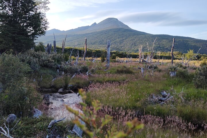 Half Day Private National Park Tour in Ushuaia - Image 2