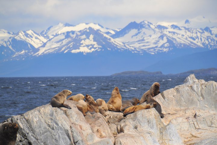 Navigation in the Beagle Channel with minitrekking USHUAIA - Image 2
