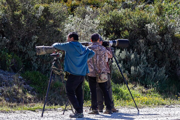 Photo tour in Tierra del Fuego National Park - Image 3