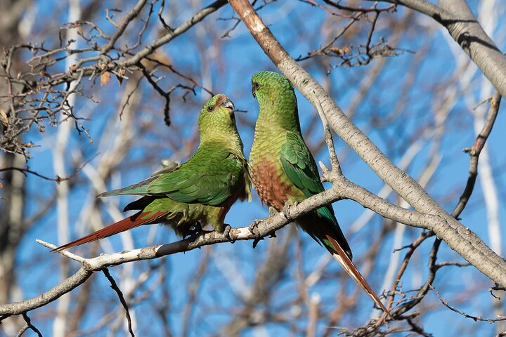 Photo tour in Tierra del Fuego National Park - Image 2