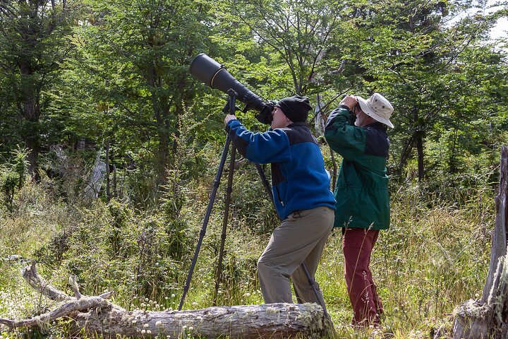 Photo tour in Tierra del Fuego National Park - Image 5