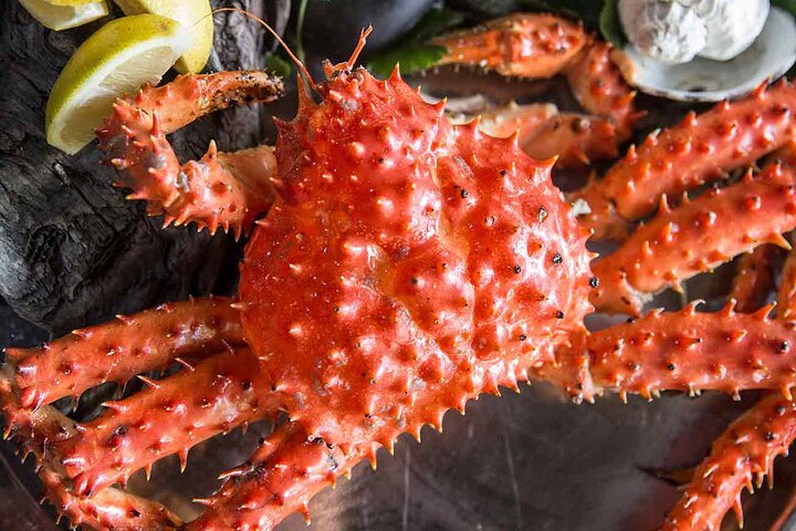 Premium King Crab Route in Tierra del Fuego - Image 1