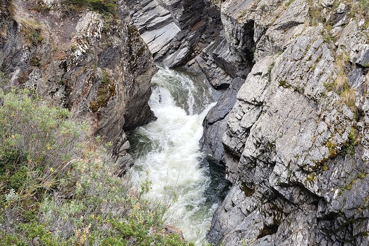Premium King Crab Route in Tierra del Fuego - Image 4