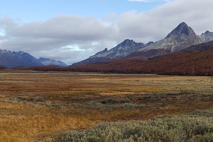 Private Tour in Garibaldi Pass, Escondido and Fagnano Lakes with Lunch - Image 3