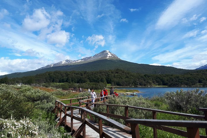 Shore Excursion - National Park Tierra del Fuego - Image 3