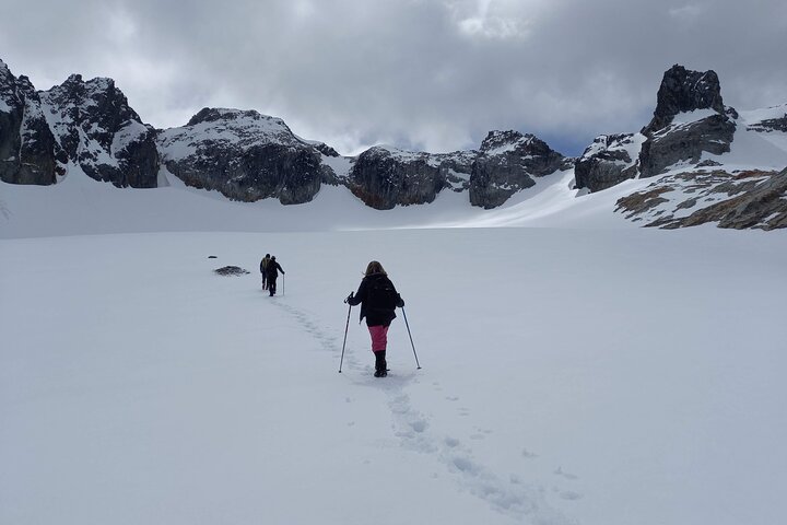 Small group Trekking to Albino Glacier - Image 1