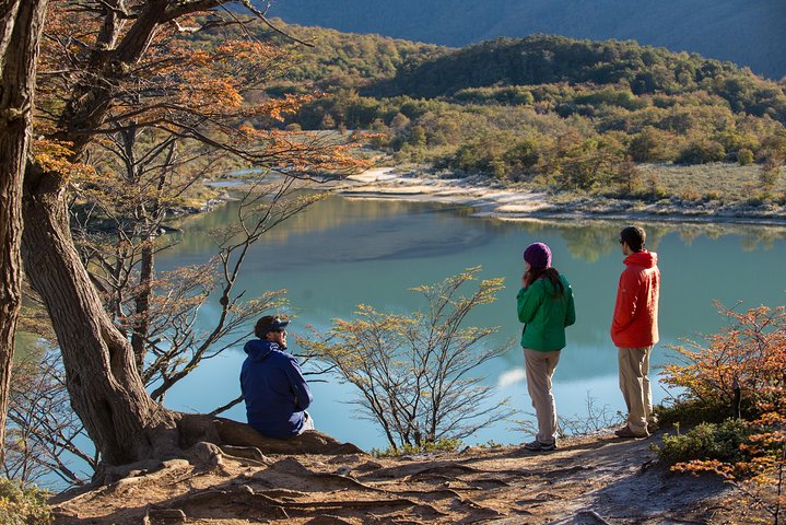 Tierra del Fuego National Park Private Tour - Image 4