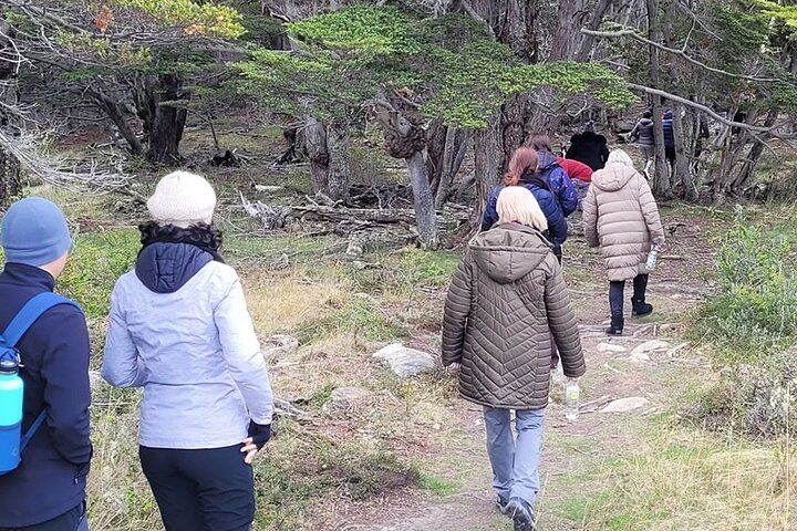 Tolhuin Natural and Gastronomic Circuit in 4x4 from Ushuaia - Image 3
