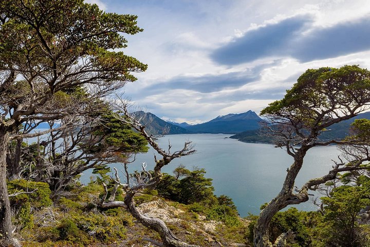 Ushuaia: National Park Private Tour and End of the World Train - Image 5