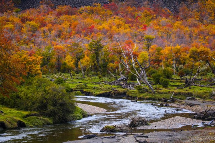 Ushuaia: National Park Private Tour and End of the World Train - Image 4
